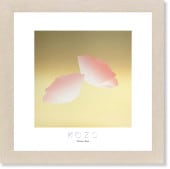 ����  ������  �Х鿧�γ���   ��ݲ�   ���奢����   ����ƥꥢ