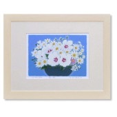 ����  �Ȳ� ����Ϻ �򤤲� ���륯�����꡼����� �ǲ� ����ƥꥢ