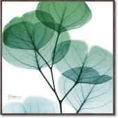 ���ȥ��󥭥��ѥ�������  �桼����ᥤ��  ���奢����  ����ƥꥢ  �ե�  ��