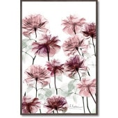 ���ȥ��󥭥��ѥ�������  �ե��٥å�  ���奢����  ����ƥꥢ  �ե�  ��