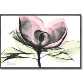 ���ȥ��󥭥��ѥ�������  �ԥ󥯥ޥ��Υꥢ  ���奢����  ����ƥꥢ  �ե�  ��