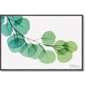 ���ȥ��󥭥��ѥ�������  �桼����  ���奢����  ����ƥꥢ  �ե�  ��