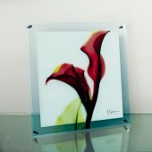 ���ȥ��󥢡���X Ray ���饹�����ȡ����顼��åɡ��ɳ��ѡˡʣͥ�������