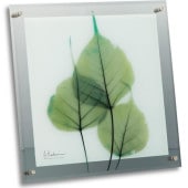 ���ȥ��󥢡���X Ray ���饹�����ȡ����꡼��桼������ɳ��ѡˡʣͥ�������