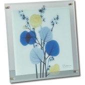 ���ȥ��󥢡���X Ray ���饹�����ȡ�����ե�桼������ɳ��ѡˡʣͥ�������