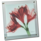 ���ȥ��󥢡���X Ray ���饹�����ȡ�����ե�桼������ɳ��ѡˡʣͥ�������