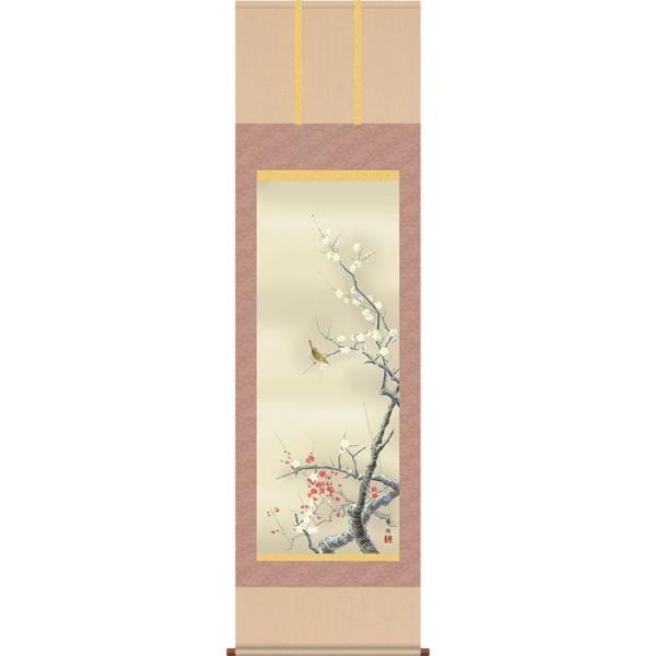 掛軸 掛け軸 春 紅白梅に鶯・園田峰彩・紅白梅に鶯 尺五 花鳥画 桐箱