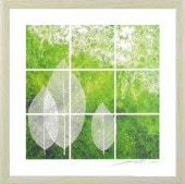 ����  ���ſ��� �� �褷�����󤤤� �� �꡼��  ��ݲ衡�����ȡ�����ƥꥢ