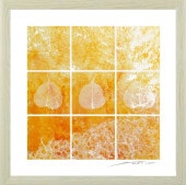 ����  ���ſ��� �� �褷�����󤤤� �� �꡼��  ��ݲ衡�����ȡ�����ƥꥢ