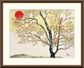 衡 ʤ褳ޤˡ  դī   ܲ  ̾  ƥꥢ