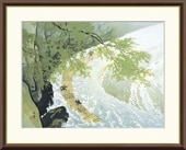   Ʋ ʤ襤礯ɤ  ȵ     ܲ  ̾  ƥꥢ