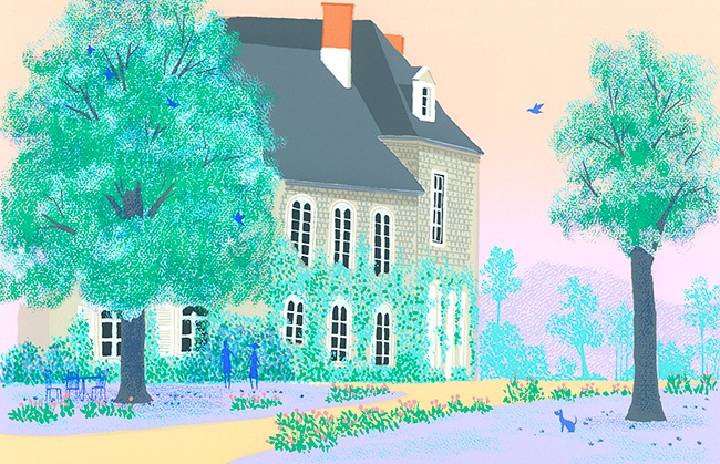 ���衡�Ȳ�����Ϻ   Į�Ϥ���β�  �ǲ�   ����ƥꥢ