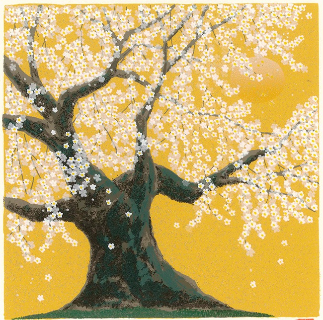 ����  �Ȳ�����Ϻ  ���餯  �ǲ� ����ƥꥢ