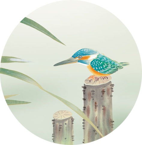 ���衡�ǿ� �� ���糧�� �ˡ�Ĺ���˽������ܲ� ��Ļ�衡������ �¼� ����ƥꥢ