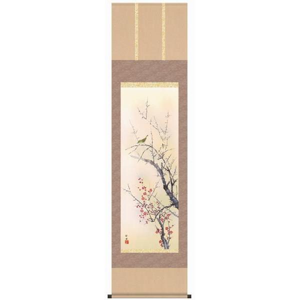 掛軸 掛け軸 田村竹世 紅白梅に鶯 掛け軸 掛軸 田村竹世・紅白梅に鶯 尺三 花鳥画 梅 床の間