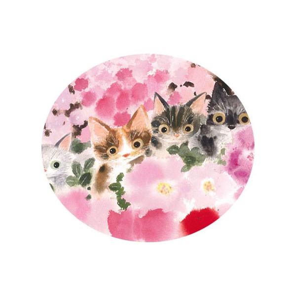 ����  ���դ����������Ϥ褤�ֿ�   �ǲ�   ����ƥꥢ