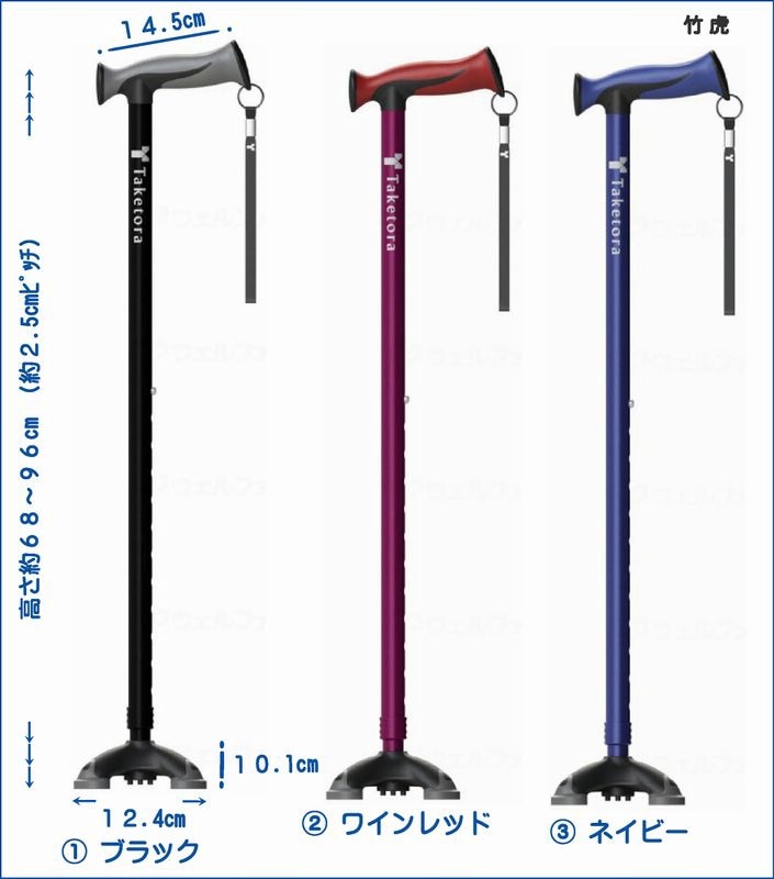 �ʳ����ݸ� �Х�֡����ƥå� �磻��¿����