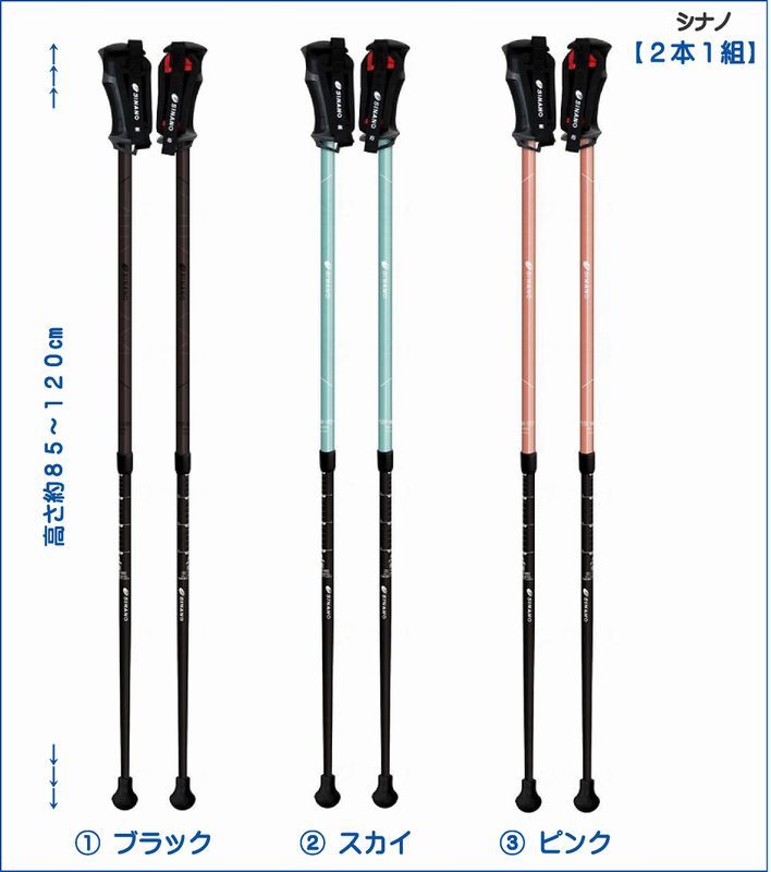 �ʳ��˥��ʥ� ��ӡ��� �ͥ����ȡʣ��ܣ��ȡ�