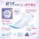��ե� Ķ�����¿��ѥå� 300cc 10���� �ڼ��إѥå� Ǣϳ��ѥå� ������ �ۿ奱�� Ǣ����к� �����к� ����