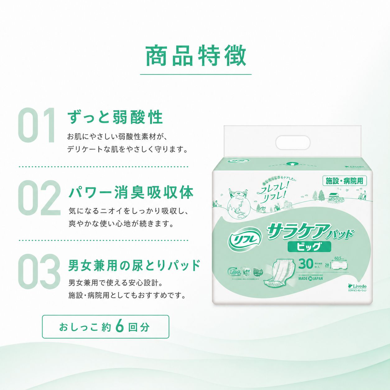 ����ѻ椪��� ��ե� ���饱���ѥå� �ӥå� 30������2�� 60�� ��6��ۼ� Ǣ�Ȥ�ѥå� �˽����� ����Ѥ���� ���� Ǣϳ�� Ǣ��� ��������