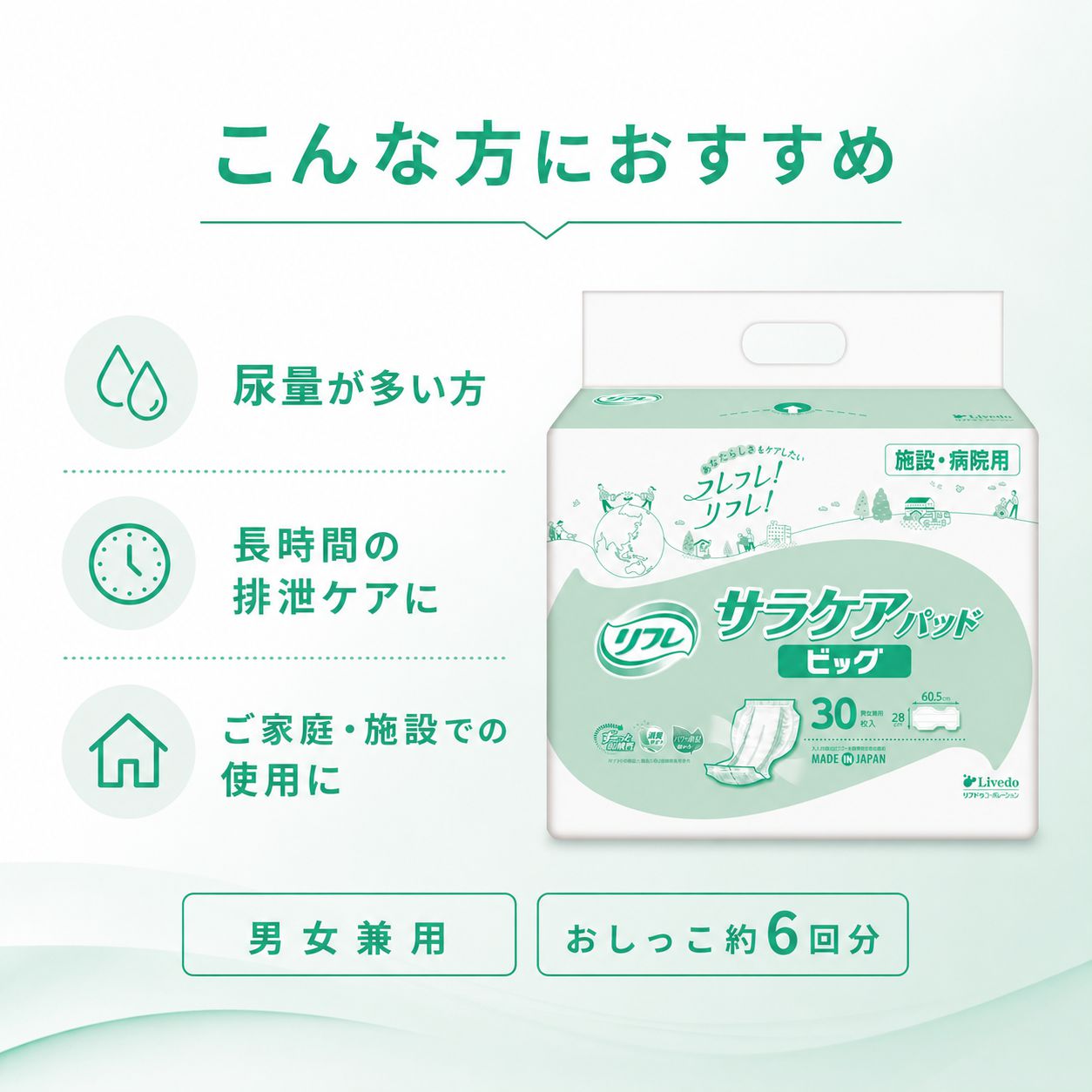 ����ѻ椪��� ��ե� ���饱���ѥå� �ӥå� 30������2�� 60�� ��6��ۼ� Ǣ�Ȥ�ѥå� �˽����� ����Ѥ���� ���� Ǣϳ�� Ǣ��� ��������