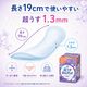 ��ե� Ķ�����¿��ѥå� 25cc 36���� �ڼ��إѥå� Ǣϳ��ѥå� ������ �ۿ奱�� Ǣ����к� �����к� ����