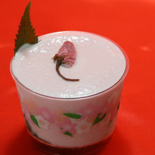 ���åץ����� ���������꡼�� �����顼�� ���Υ��������꡼�ॹ�ڥ���륫�å� �ո��꾦�� �����դ򤷤��Ĥᡢ��˺��β֤����äȤΤ����İ������åס��������顼�ȥ��������꡼��