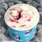 åץ ꡼ 顼  ֥롼٥꡼衼 åץ顼 ե衼Ȥ˥֥롼٥꡼Τ䤫̣顼ȥ꡼