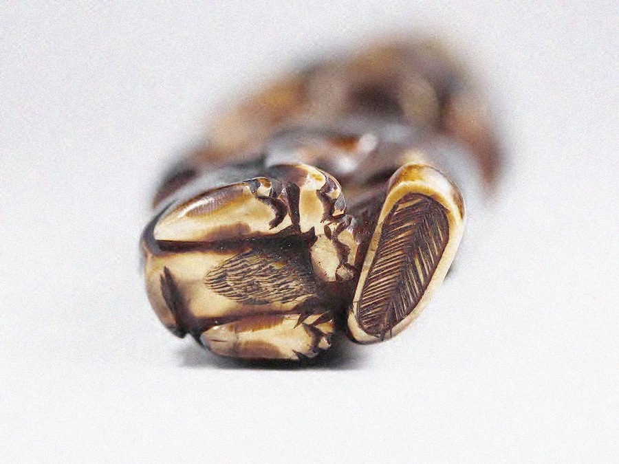  Ħ Ħ Ƹڿ(ū)ʪ ֺ ڿ ӿ