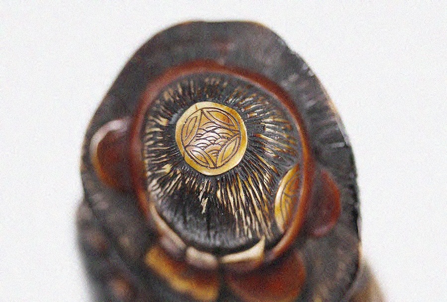  Ħ Ħ Ƹڿ(ū)ʪ ֺ ڿ ӿ