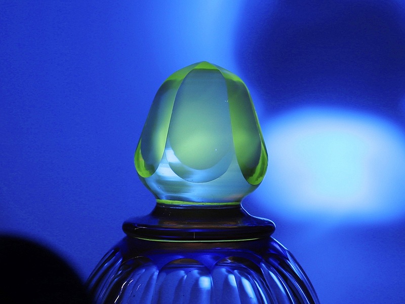 �����ڻ� ���ճ�ʪ���������� ���碌�ڻ� ������ ��¢Ȣ��