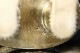 �ͥ��ƥ��֡�����ꥫ�� �ʥХ�²���奨�꡼ STERLING ����С� �������������� �������ʥɡ���
