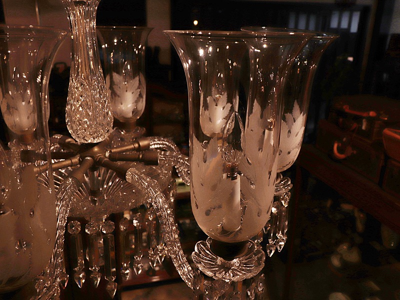 F.& C. �����顼 ���ꥹ���륬�饹 �����ǥꥢ �������ȥꥢ 8��