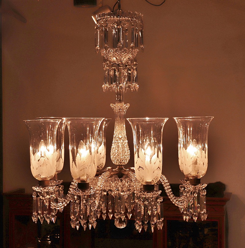 F.& C. �����顼 ���ꥹ���륬�饹 �����ǥꥢ �������ȥꥢ 8��