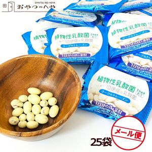 ヨーグルトレーズン 225g（9g×25袋） メール便（代引不可） 小分け 小袋 個包装|チョコ・クッキー・ビスケット・洋菓子