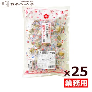 あかぎの カリカリ梅 10kg（400g×25） 国産梅 無着色 個包装 種あり かりかり梅 うめ 赤城 業務用