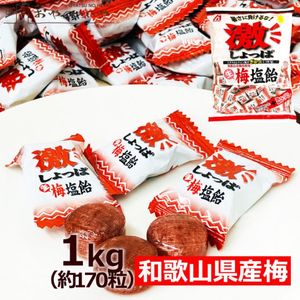 ����Ϻ���� �㤷��ä����߱��� �²λ������������� 1kg �ʸ����� ��170γ�� Ǯ����к� ��̳��