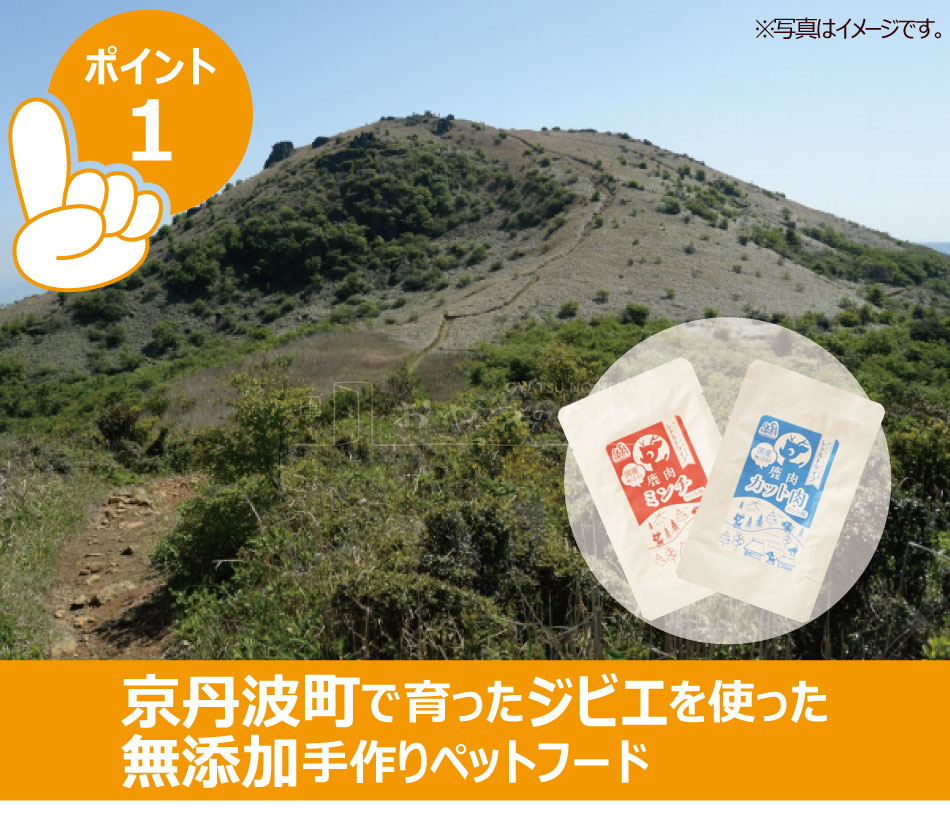  ̣25ǯ520ۡڥڥåȥաɡ۸    ȥ ߥ 50g3 åݥȡԲġ ̵ź ȥȥա ӥ  ðȼ˼