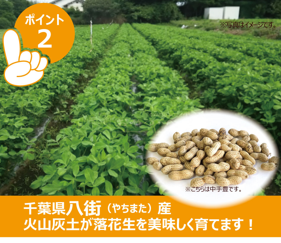 ե Ȣ ո Ĥ   3糧å ˭ ȾΩ Qʥå Ȭ ޤ դ ԡʥå ԡʥ 