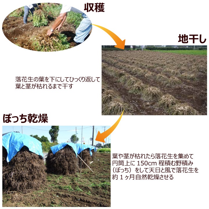 ե Ȣ ո Ĥ   3糧å ˭ ȾΩ Qʥå Ȭ ޤ դ ԡʥå ԡʥ 