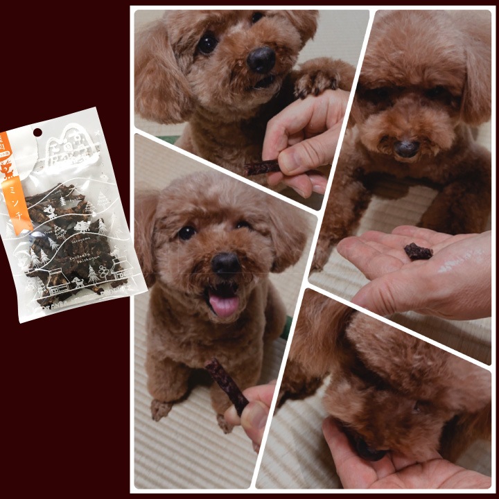 �ڥڥåȥա��ɡ۸� ����� �� ���� �ɥ饤�ա��� 3�糧�å� �ߥ�� ���ƥ��å� ���㡼���� ��1�ޡʳ�25g�� ����å��ݥ��ȡ�������Բġ� ̵ź�� ���ӥ� �� ��ð�ȼ�����˼