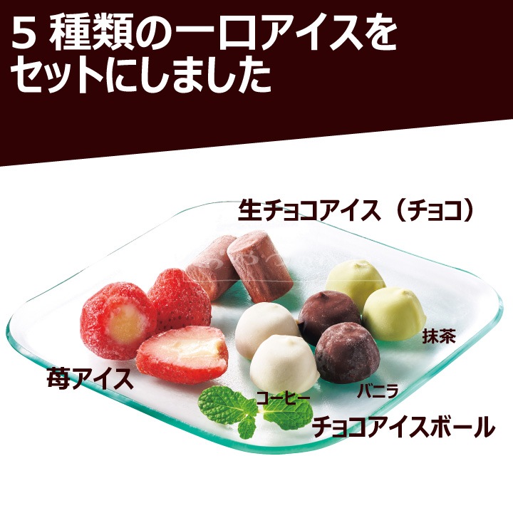 611N ҤȤå 33γ  祳 ҡ Х˥  Բ