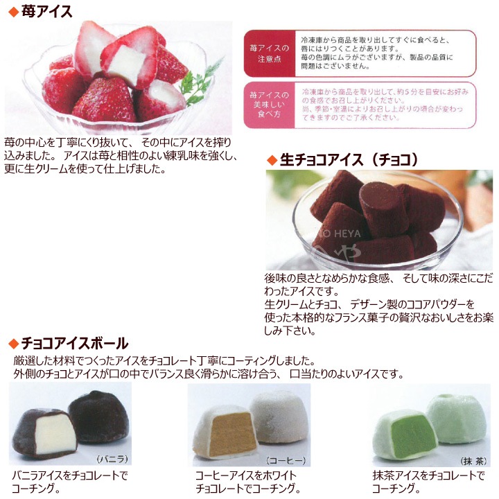 611N ҤȤå 33γ  祳 ҡ Х˥  Բ