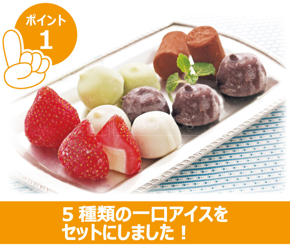 611N ҤȤå 33γ  祳 ҡ Х˥  Բ