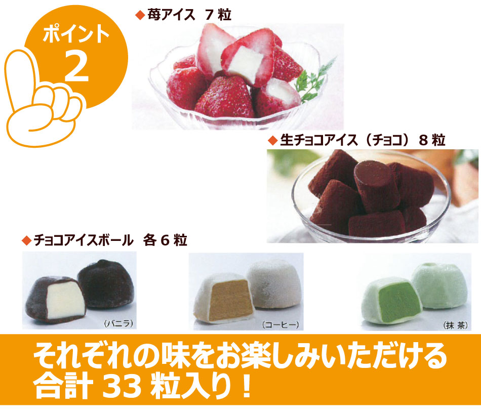 611N ҤȤå 33γ  祳 ҡ Х˥  Բ