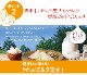 ������̵���� �����ɤ� �ߥ륯������ 9��9�ޥ��å� �᡼���ء�������Բġ� �ͤ��碌 �������� ���� �ڻ� �ߤ䤲 ���� �ۻ�