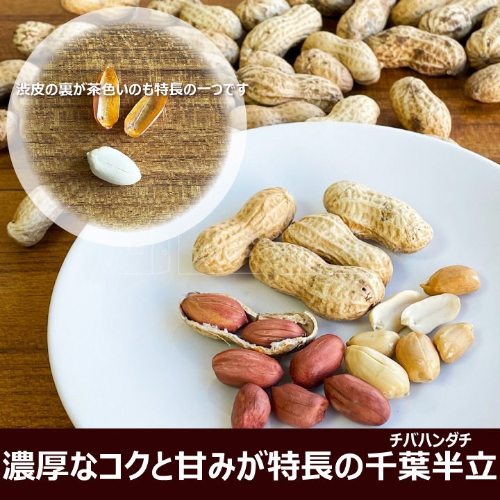 ���ո��� ����Ĥ� ����� �� 3�糧�å� ���˭ ����ȾΩ Q�ʥå� Ȭ�� ����ޤ� ���դ� �ԡ��ʥå� �ԡ��ʥ� ��������