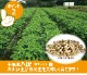 ���ո��� ����Ĥ� ����� �� 3�糧�å� ���˭ ����ȾΩ Q�ʥå� Ȭ�� ����ޤ� ���դ� �ԡ��ʥå� �ԡ��ʥ� ��������