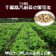 ���ո��� ����Ĥ� ����� �� 3�糧�å� ���˭ ����ȾΩ Q�ʥå� Ȭ�� ����ޤ� ���դ� �ԡ��ʥå� �ԡ��ʥ� ��������