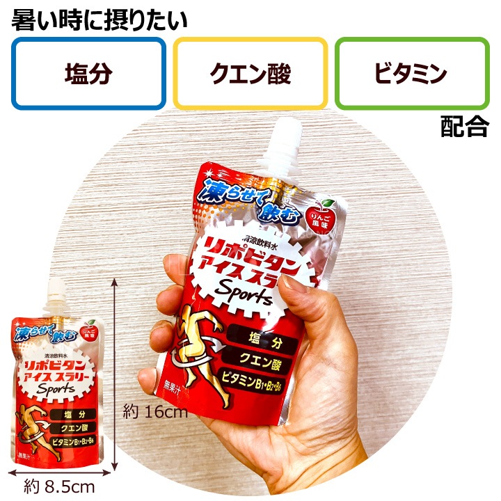  ݥӥ ꡼ Sports åդ ̣ 120g6 ᡼ءԲġ Ǯкդ